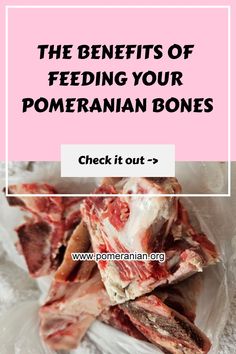 the benefits of feeding your pomegranaten bones check it out - www pomegrananian org