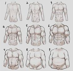 an image of a man's chest and lower half body muscles chart with instructions