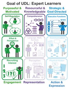 the goal of udl expert learners