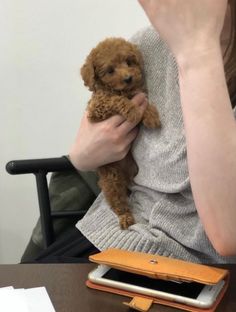 a woman holding a small dog in her lap while sitting at a desk with papers