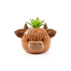 a ceramic cow head with a plant in it's mouth on a white background