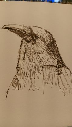 a drawing of a bird sitting on top of a piece of paper