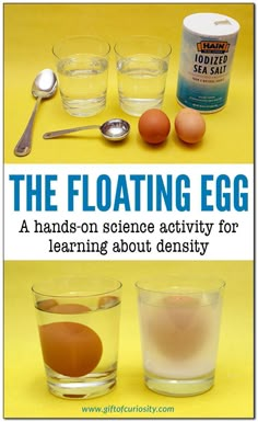 the floating egg is an easy science activity for learning about density and how to use it