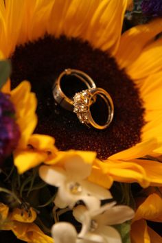 two wedding rings sitting on top of a sunflower