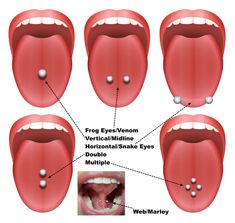 an image of the mouth and tongue with different parts labeled in it to describe what they are