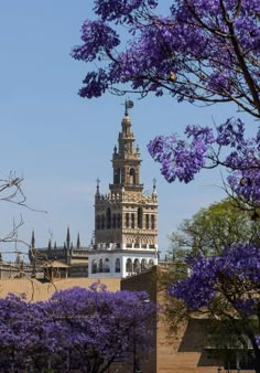 a tall tower with a clock on it's side surrounded by trees and purple flowers