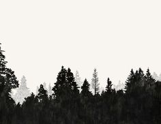 a black and white photo of trees in the distance with an airplane flying over them