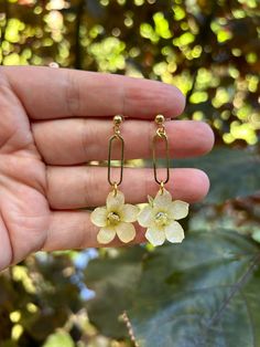 Handmade Hibiscus Resin Earrings, Dangle Earrings. Handmade locally in Oahu, Hawaii. Flowers hand harvested locally and earrings carefully crafted with resin & 18K gold-plated metal, hypoallergenic.  Earrings are light weight creating a comfortable long wear beautiful look for the day. Name of flower - Abutilon Menziesii (Ko'oloa'ula) Plant. Endangered and found only on Oahu. Flowers only last for 1 day and are harvested in evenings.  *Earrings are made out of real flowers and will be different Gold Drop Earrings With 3d Flowers, Delicate Gold Earrings With 3d Flowers, Hypoallergenic Yellow Gold Drop Flower Earrings, Green Hibiscus Flower, Gold Gift Ideas, Green Hibiscus, Flower Earrings Dangle, Hawaii Flowers, Tag Name