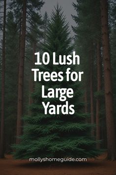 trees with the words 10 lush trees for large yards in front of them and an image of