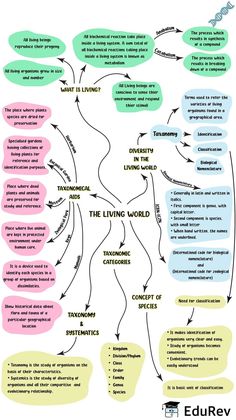 #Cell_Biology_Notes #Biology_Class_11 #Neet_Notes #Learn_Biology Cell Biology Notes, Biology Class 11, Neet Notes, Biology Diagrams, Learn Biology, Study Biology, Biology Facts, Neet Exam, Medical Student Study