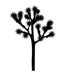 a black and white silhouette of a joshua tree royalty illustration on a white background stock photo