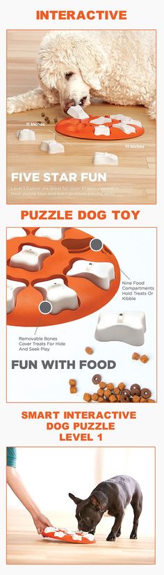 SAFETY AND CARE: ALWAYS SUPERVISE your dog closely, teach your dog how the game works. Do not leave your dog alone with a treat puzzle, do not let your dog chew on the game or pieces. Inspect for damage and remove if broken. For dogs only, not a children’s toy. When empty, store until next supervised use. Dog Puzzle Toys, Dog Puzzles, Dog Bones, Cat Icon, Dogs And Kids, Hound Dog, Cat Aesthetic, Puzzle Toys, Animal Crafts