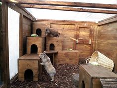 a cat house with two cats in it and one on top of the other side