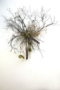 an arrangement of dead branches and pine cones on a white background