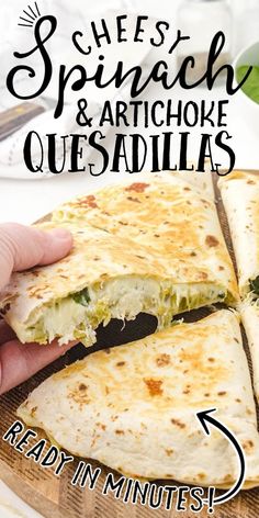 Best Quesadilla Recipes are loaded with meats, cheese, avocado, and spices. No matter what kind of quesadilla you're craving, we've got you covered! Easy Entrees, Spinach Lasagna Rolls, Mediterranean Meals, Light Meals, Tasty Meat, Artichoke Recipes