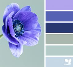 a blue flower is in the center of a color palette with gray and purple tones