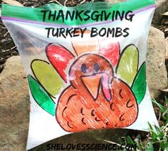 a bag with a turkey on it sitting in the grass next to some rocks and plants