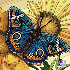 a blue butterfly sitting on top of a yellow flower