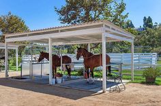 two brown horses standing next to each other under a white roof on a dirt field