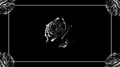 an artistic black and white photo with roses