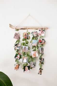 a wall hanging with photos and leaves on it