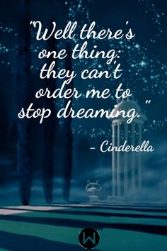 a quote from cinderella on the night sky