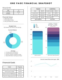 the financial snapshot info sheet is shown in blue and green colors, with graphs on it