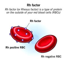 an image of a red blood cell labeled rh factor