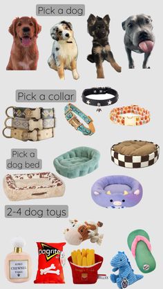 there are many different types of dog toys