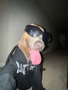 a dog wearing goggles and a jacket with its tongue hanging out to the side