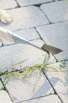 a pair of garden shears laying on the ground with grass growing out of it