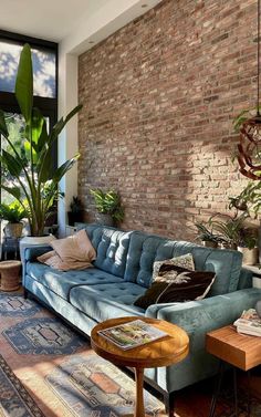 a living room with a blue couch and potted plants on the wall next to it