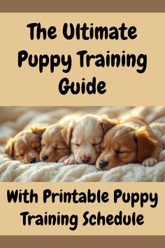 Professional Dog Trainer, Doggy Dan, created his 8-Week-Old Puppy Schedule: The Guide to Training Your New Puppy. 

Doggy Dan's puppy schedule simplifies the puppy parenting process with the PEES structure:

P: Potty
E: Exercise
E: Eat
S: Sleep

Read my post to get the link to this fantastic, free tutorial from Doggy Dan, a printable version of the puppy training daily schedule, plus lots of help with solving any puppy behavior issues you may have! Puppy Training Guide, Training Schedule