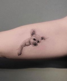 a small dog tattoo on the left forearm and right arm, with a tiny puppy in the middle