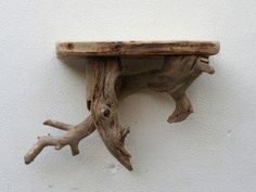 a piece of driftwood on the side of a wall