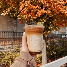 a person holding up a cup of coffee in front of a tree with orange leaves