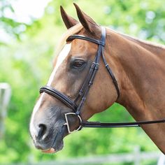 a brown horse wearing a bridle on its head