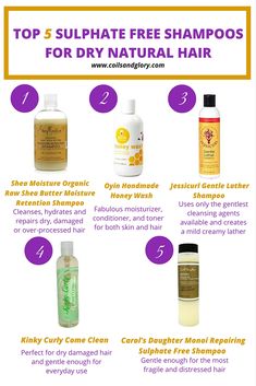 TOP 5 Sulphate Free Shampoos for Dry Natural Hair | Coils & Glory Dry Natural Hair, Natural Hair Shampoo, Best Natural Hair Products, Natural Hair Products, Shampoo For Curly Hair, Curly Hair Photos, Hair Coils, Hair Dry