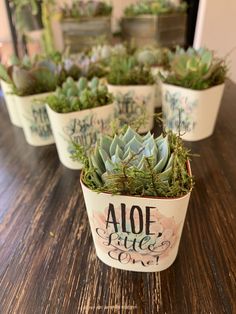 four small pots with plants in them on a wooden counter top, and the words aloe free are painted on