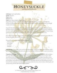 Magical and Medicinal Uses of Honeysuckle. Includes free BOS page! Magickal Plants, Love In Greek, Honeysuckle Flowers, Honey Suckle, The Wheel Of The Year, Planet Jupiter, Canterbury Tales