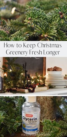 how to keep christmas greenery fresh longer with the help of glycerin