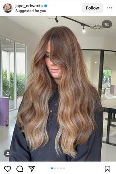 Money Blonde, California Brunette, Warm Bronde, Rambut Brunette, Hair Color Caramel, Baby Light, Shoulder Hair, Hair 2024, Hair Appointment