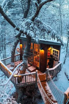 a tree house in the middle of a snowy forest