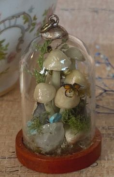 a glass clochel filled with lots of rocks and plants on top of a table