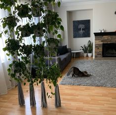 a living room filled with furniture and a cat laying on the floor next to a fire place