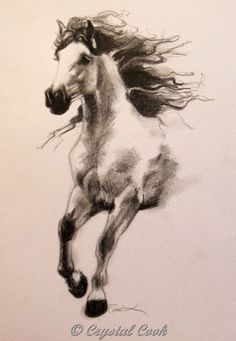 a drawing of a running horse with its hair blowing in the wind and eyes closed