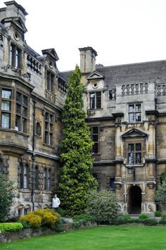 an old building with a large tree in the middle of it's front yard