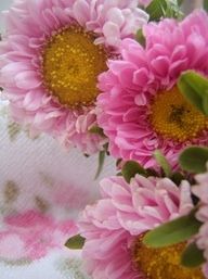 some pink flowers are in a vase on a table