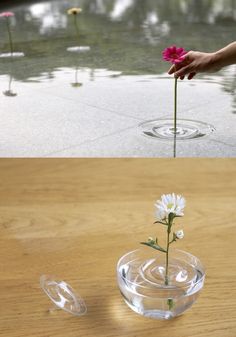 two pictures one with flowers and the other with upside down glass vases holding water