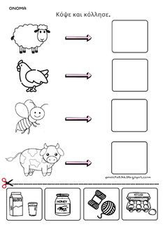 worksheet for beginning with the letter o and an image of animals, eggs, milk